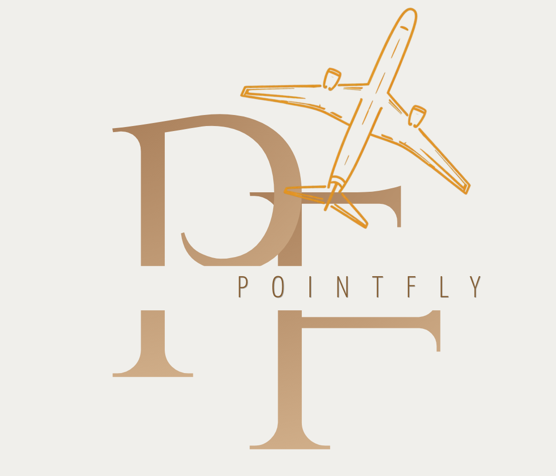Point Fly